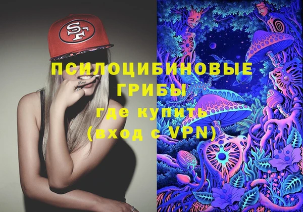гидропоника Верея
