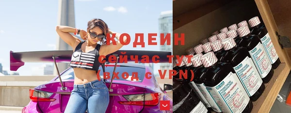 соль ск Струнино