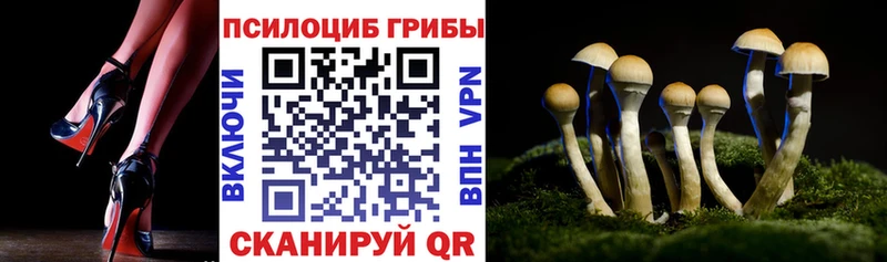Псилоцибиновые грибы мухоморы  продажа наркотиков  Можайск 