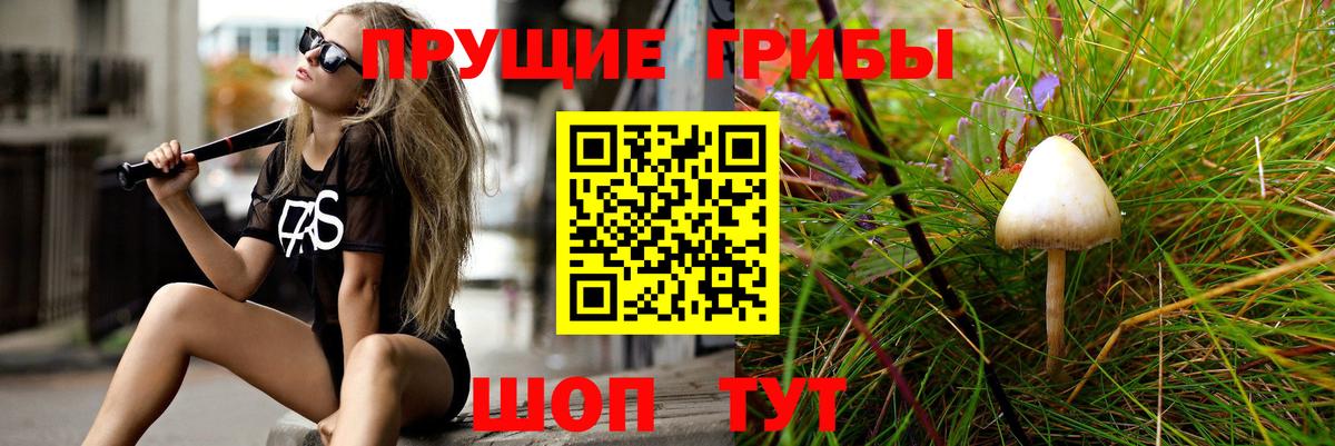 Псилоцибиновые грибы мицелий  Галлюциногенные грибы GOLDEN TEACHER  Вход с VPN  Можайск 